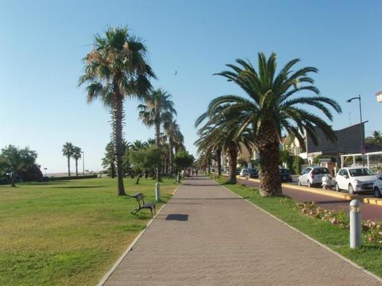 La Conchiglia Apartment Porto Sant'Elpidio Bagian luar foto
