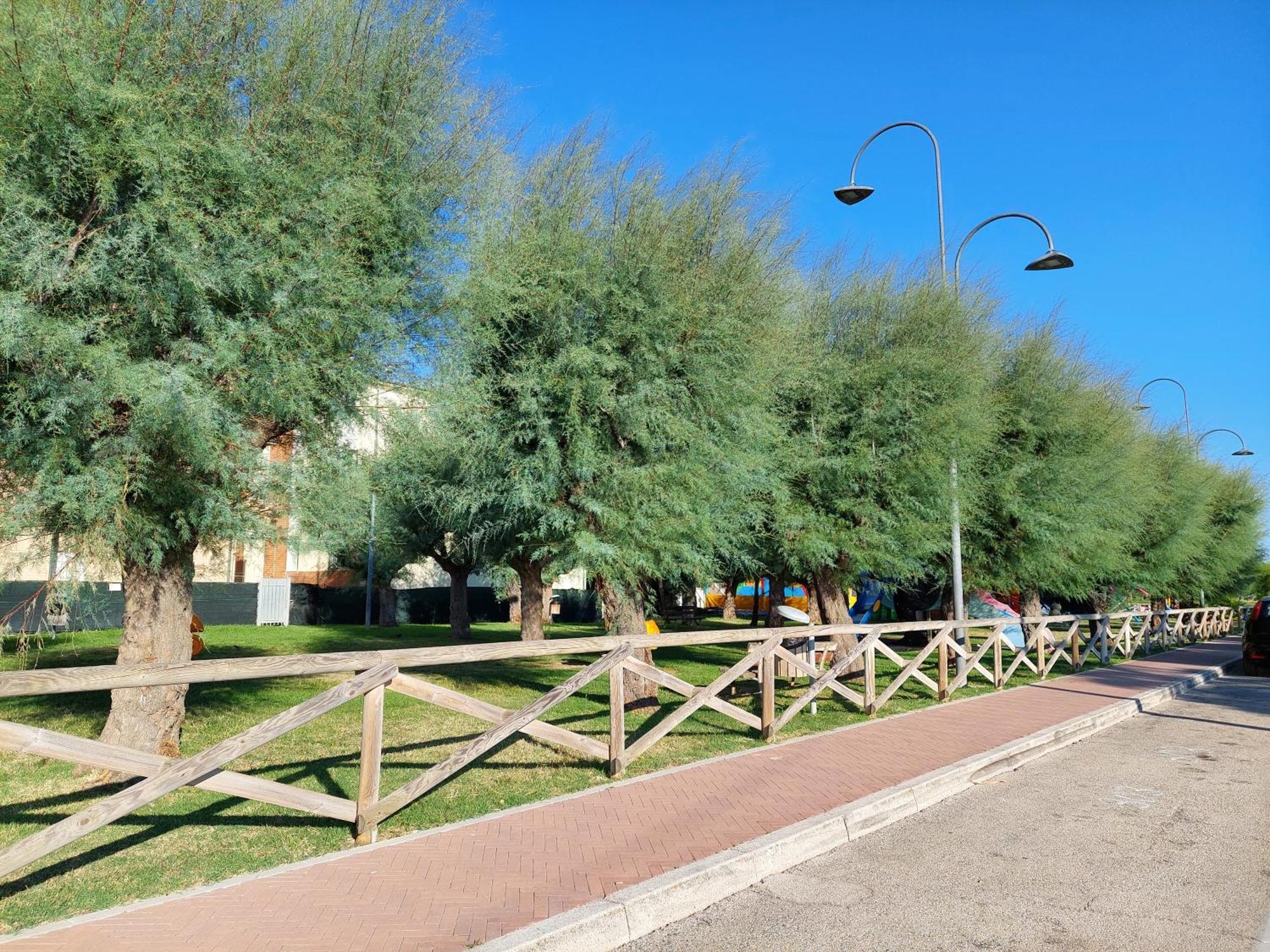La Conchiglia Apartment Porto Sant'Elpidio Bagian luar foto